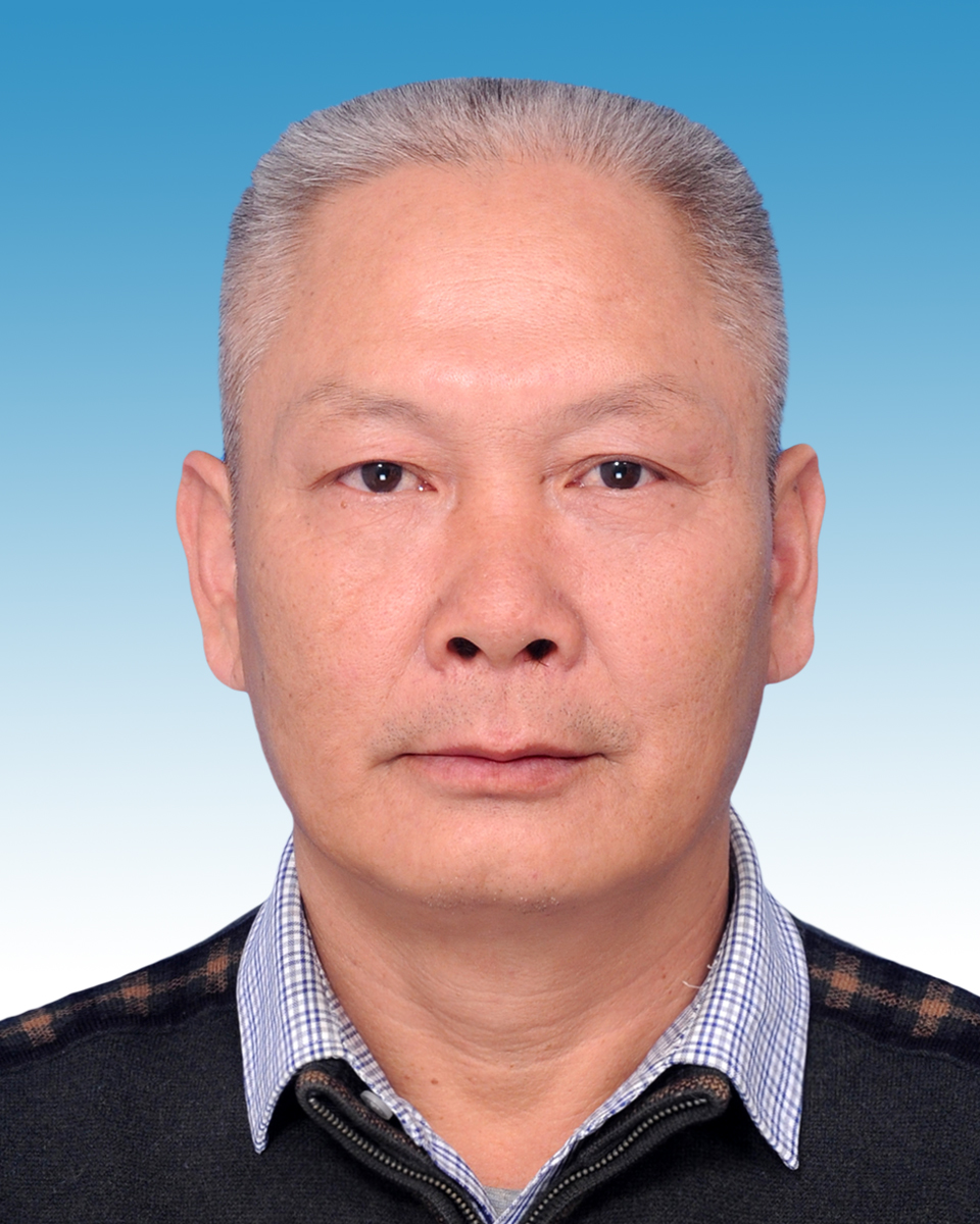 3377体育平台图片