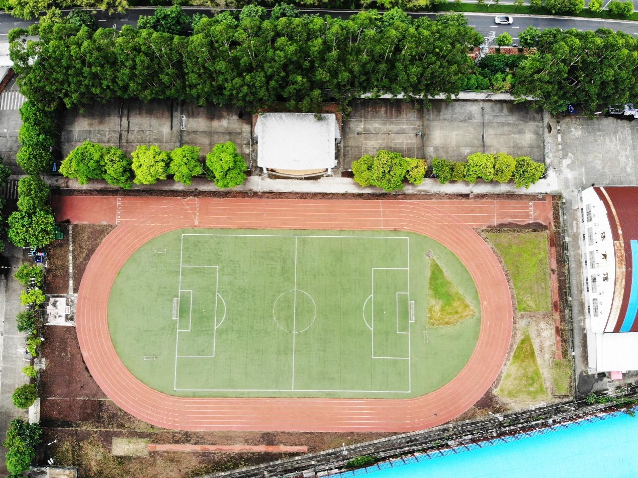 3377体育备用网址