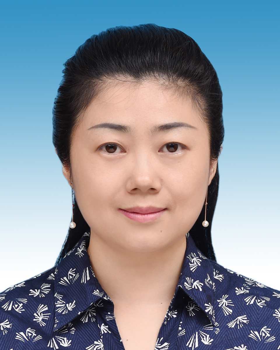 3377体育手机版图片